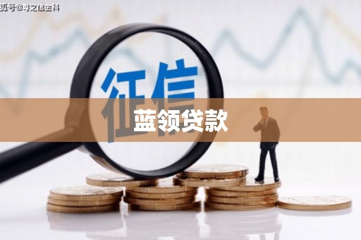 台西蓝领贷款