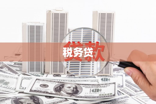 台西税务贷