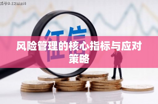 台西风险管理的核心指标与应对策略