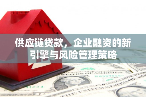 台西供应链贷款，企业融资的新引擎与风险管理策略