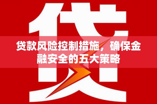 台西贷款风险控制措施，确保金融安全的五大策略