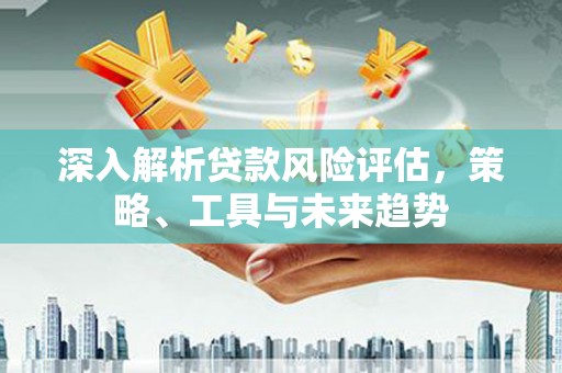 台西深入解析贷款风险评估，策略、工具与未来趋势