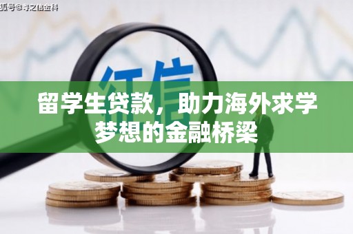 台西留学生贷款，助力海外求学梦想的金融桥梁