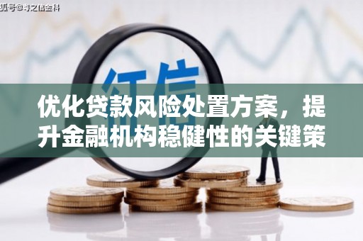 台西优化贷款风险处置方案，提升金融机构稳健性的关键策略