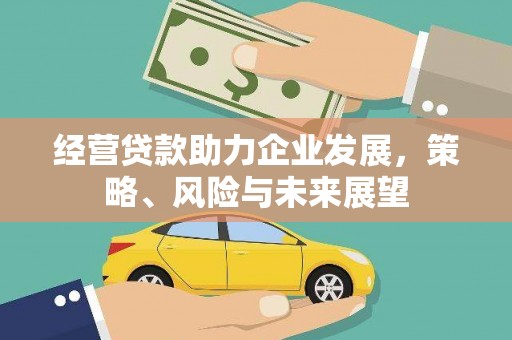 台西经营贷款助力企业发展，策略、风险与未来展望
