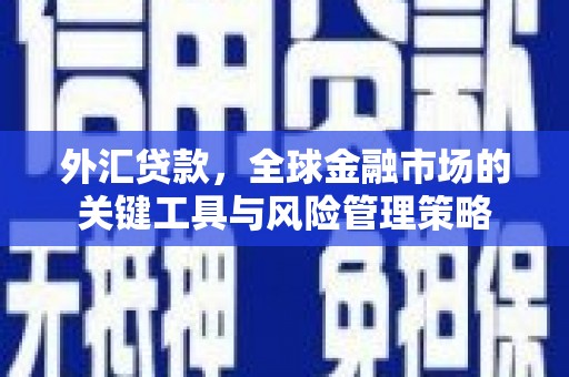 台西外汇贷款，全球金融市场的关键工具与风险管理策略