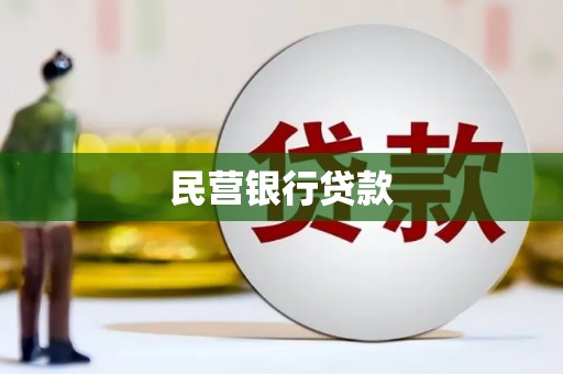 台西民营银行贷款