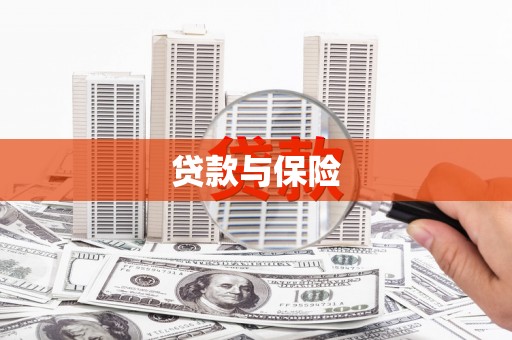 台西贷款与保险