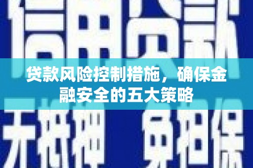 台西贷款风险控制措施，确保金融安全的五大策略