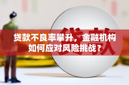 台西贷款不良率攀升，金融机构如何应对风险挑战？