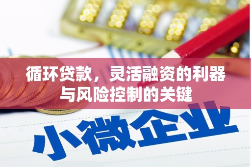 台西循环贷款，灵活融资的利器与风险控制的关键
