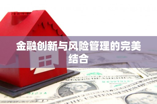 台西金融创新与风险管理的完美结合