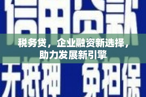 台西税务贷，企业融资新选择，助力发展新引擎