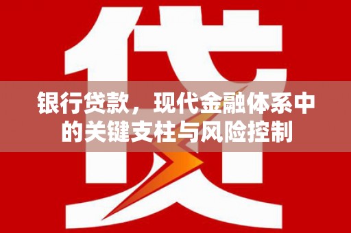 台西银行贷款，现代金融体系中的关键支柱与风险控制