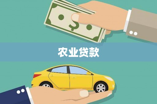台西农业贷款