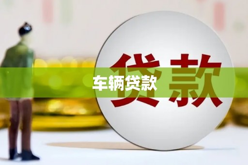台西车辆贷款