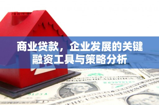 台西商业贷款，企业发展的关键融资工具与策略分析
