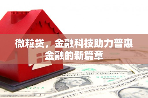 台西微粒贷，金融科技助力普惠金融的新篇章