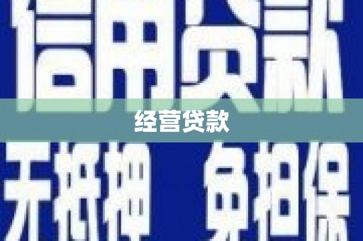 台西经营贷款
