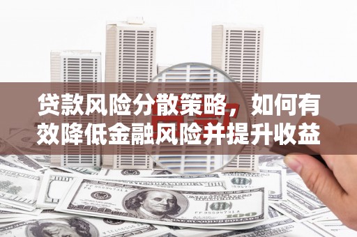 台西贷款风险分散策略，如何有效降低金融风险并提升收益