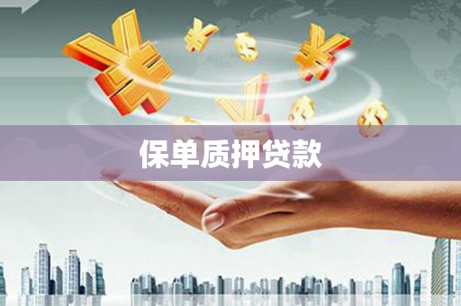 台西保单质押贷款