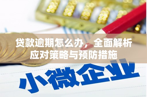 台西贷款逾期怎么办，全面解析应对策略与预防措施