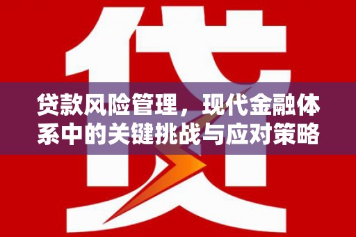 台西贷款风险管理，现代金融体系中的关键挑战与应对策略