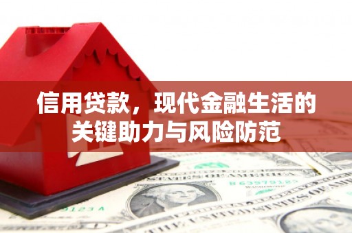 台西信用贷款，现代金融生活的关键助力与风险防范