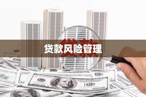 台西贷款风险管理