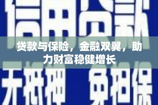 台西贷款与保险，金融双翼，助力财富稳健增长