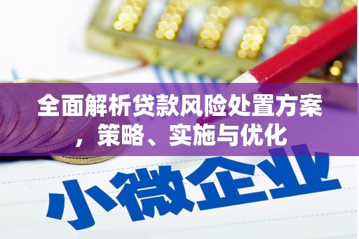 台西全面解析贷款风险处置方案，策略、实施与优化