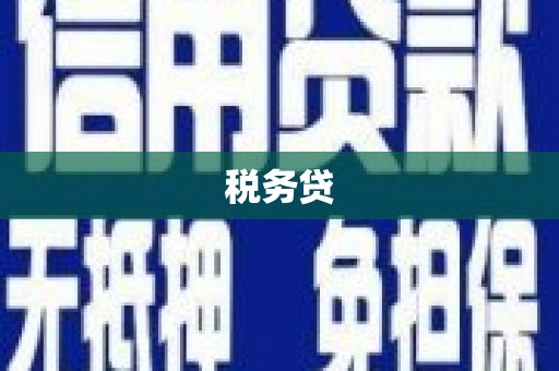 台西税务贷