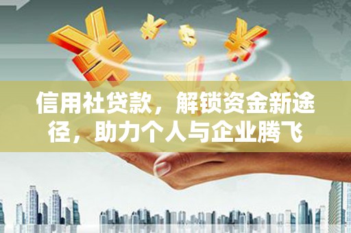 台西信用社贷款，解锁资金新途径，助力个人与企业腾飞