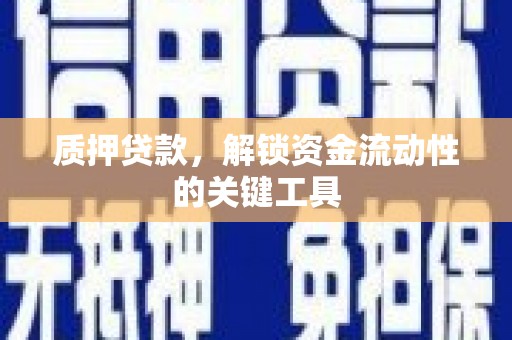 台西质押贷款，解锁资金流动性的关键工具