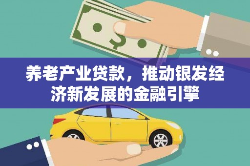 台西养老产业贷款，推动银发经济新发展的金融引擎