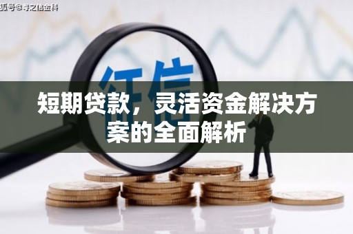 台西短期贷款，灵活资金解决方案的全面解析