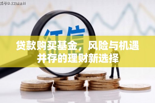 台西贷款购买基金，风险与机遇并存的理财新选择