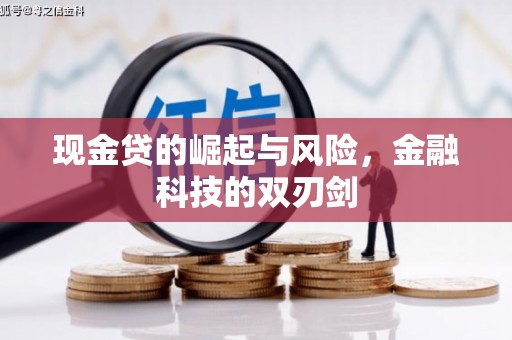 台西现金贷的崛起与风险，金融科技的双刃剑