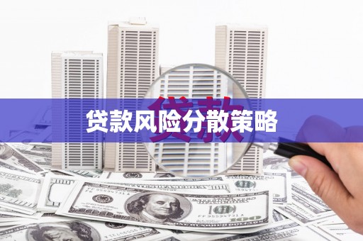 台西贷款风险分散策略