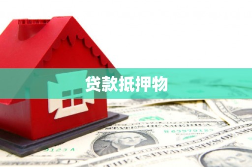 台西贷款抵押物
