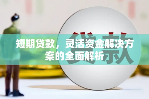 台西短期贷款，灵活资金解决方案的全面解析