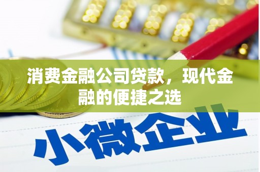 台西消费金融公司贷款，现代金融的便捷之选