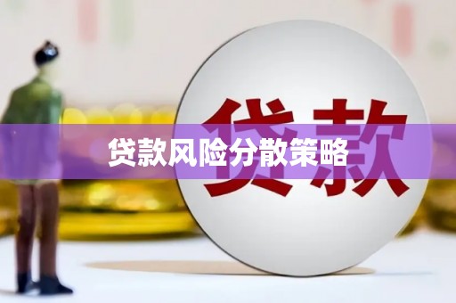 台西贷款风险分散策略