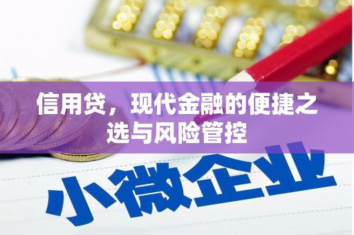 台西信用贷，现代金融的便捷之选与风险管控