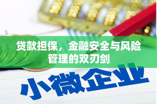 台西贷款担保，金融安全与风险管理的双刃剑