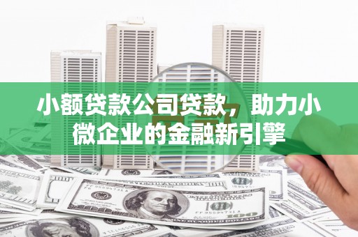 台西小额贷款公司贷款，助力小微企业的金融新引擎