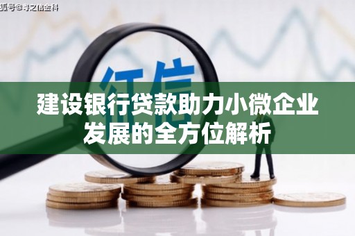 台西建设银行贷款助力小微企业发展的全方位解析