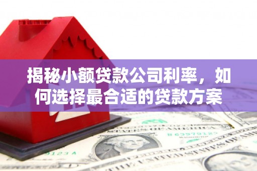 台西揭秘小额贷款公司利率，如何选择最合适的贷款方案