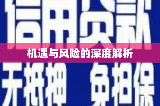 台西机遇与风险的深度解析