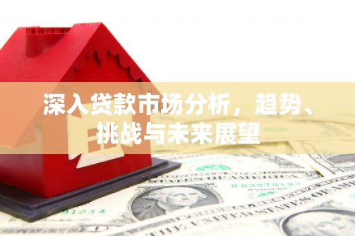 台西深入贷款市场分析，趋势、挑战与未来展望
